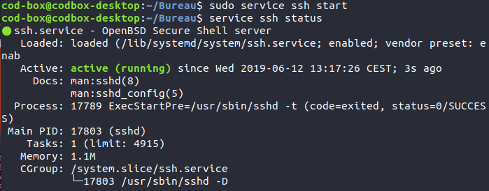 Ubuntu terminal voir l'etat SSH